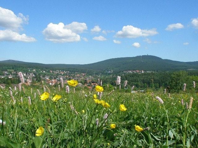 Harzpension Haus Koenigskopf Braunlage Eksteriør bilde